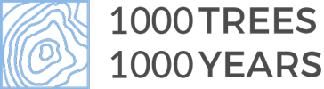 1000 trees 1000 years logo